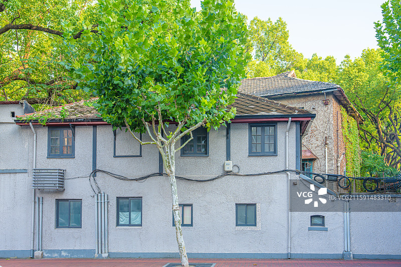 上海夏天梧桐树 淮海中路 老洋房 优秀历史建筑 衡复风貌区 历史街区 城市漫步图片素材