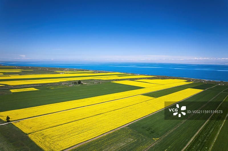 青海省青海湖和青稞麦田油菜花航拍自然风光图片素材
