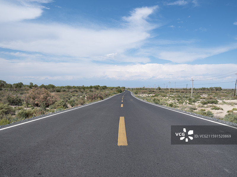 新疆胡杨林公路图片素材