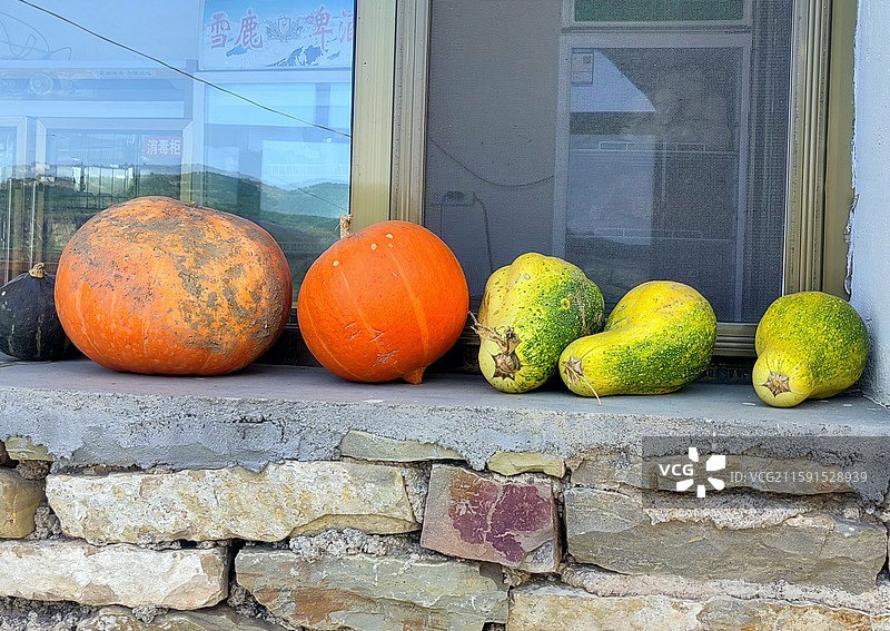 晒秋——拍摄于内蒙古清水河图片素材