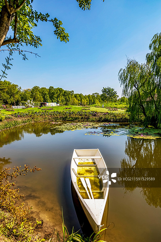 上海嘉定嘉北郊野公园塞尚花园荷花池图片素材