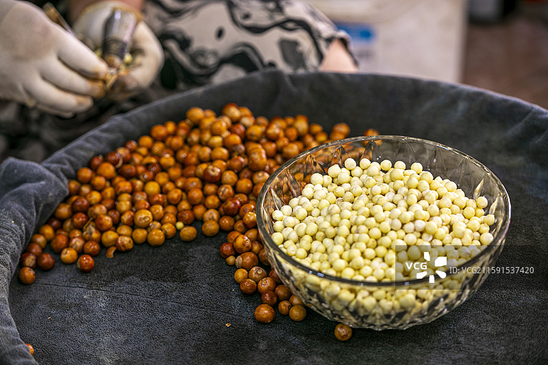 苏州葑门横街江南时令美食鸡头米（芡实）上市热卖图片素材