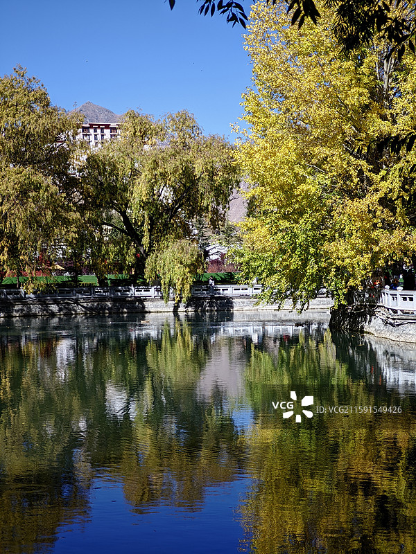 布达拉宫秋色图片素材