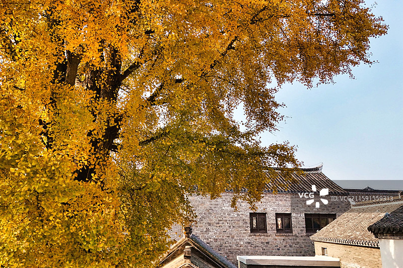 江苏盐城市建湖县九龙口湿地风景图片素材