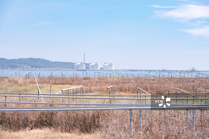 镇海角的渔船码头海岛图片素材