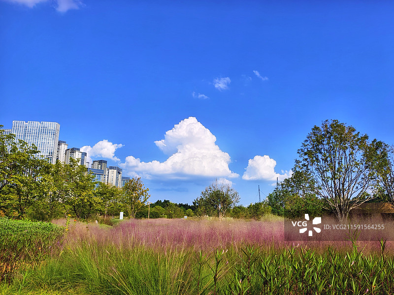 四川成都高新区SKP公园夏天风光图片素材
