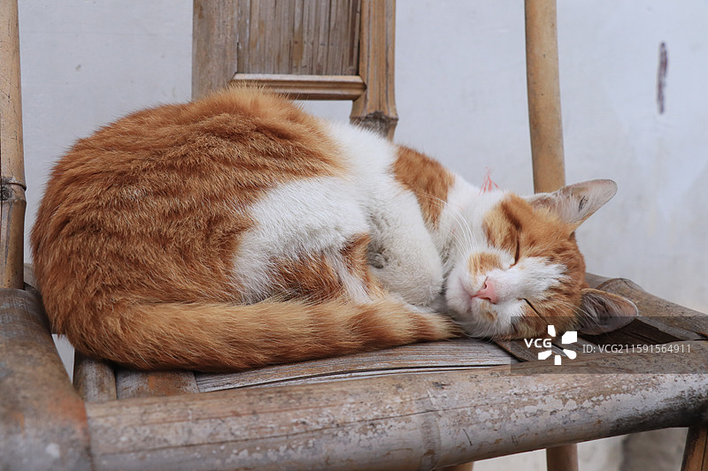 南充阆中古镇张飞牛肉图片素材