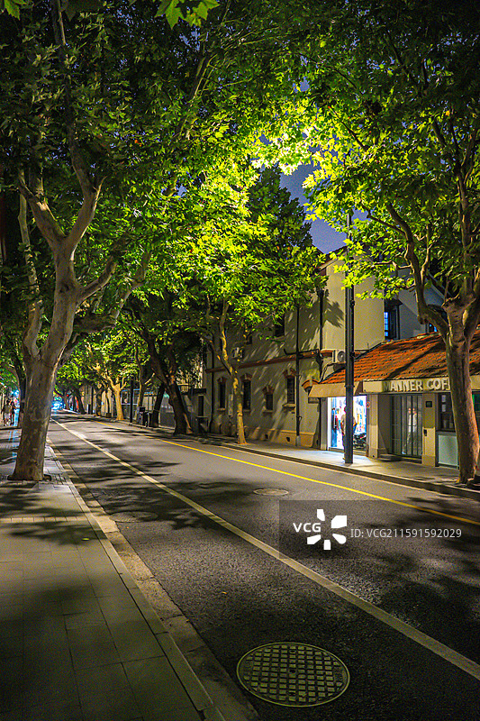 夏天梧桐树下的上海 上海武康路夜景 武康大楼 优秀历史建筑 上海街景 衡复风貌区 海派建筑 夜上海图片素材