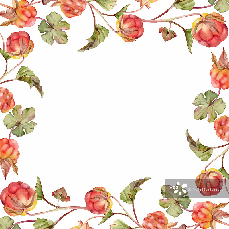 云莓和覆盆子带着绿叶的茎图片素材