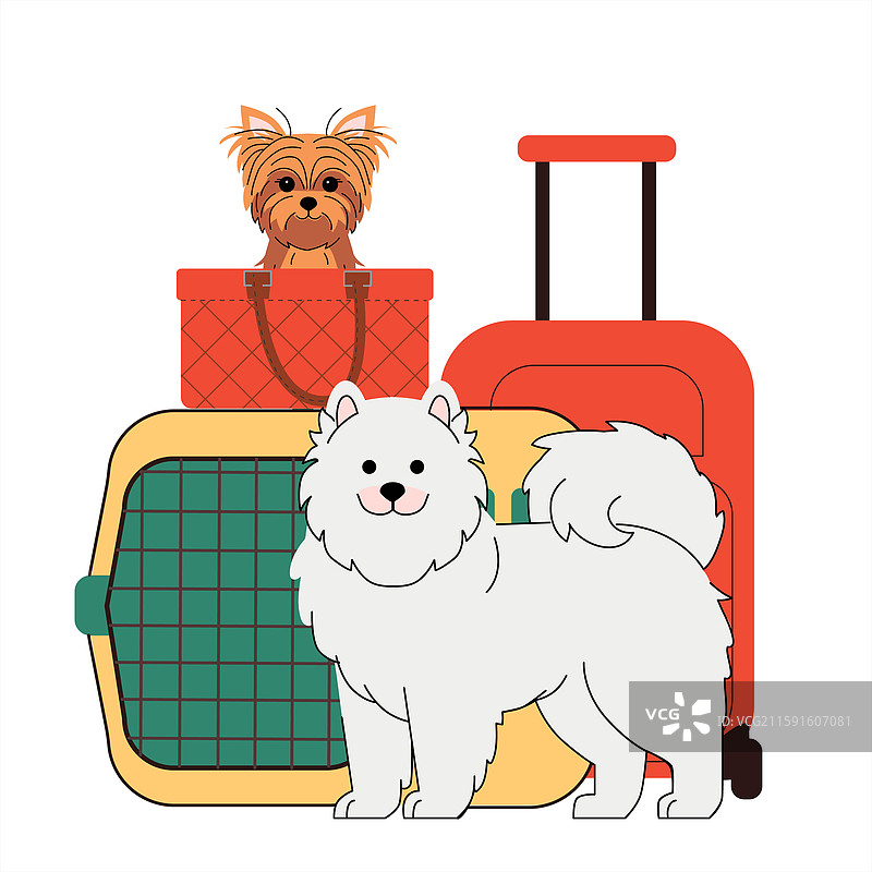 可爱的宠物旅行，毛茸茸的动物图片素材