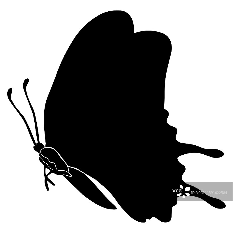 蝴蝶昆虫剪影图片素材