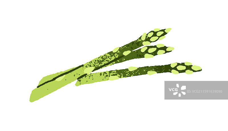 新鲜绿色芦笋的自然蔬菜图标图片素材