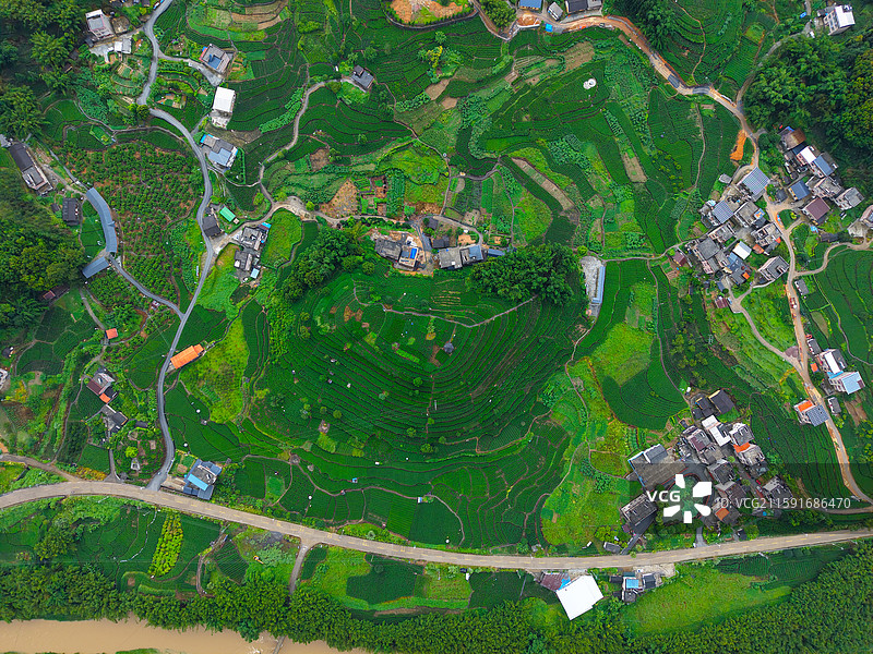 广西贺州昭平航拍茶园桂江生态河流图片素材