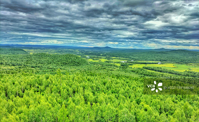 黑龙江省大兴安岭呼玛县十二站林场的湿地图片素材