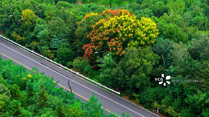 五龙山智慧阁图片素材