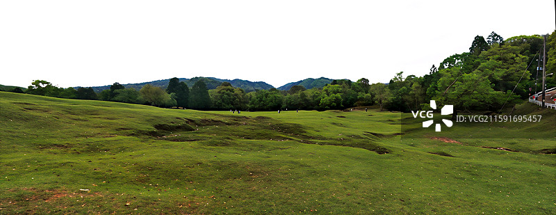奈良公园面积广阔，东大寺、春日大社等古迹林立，野鹿成群，自然与文化景观相得益彰。图片素材