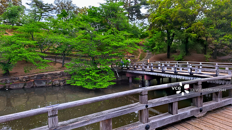 奈良公园面积广阔，东大寺、春日大社等古迹林立，野鹿成群，自然与文化景观相得益彰。图片素材