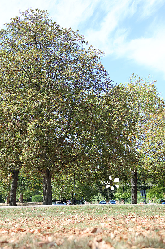 英国，温莎城堡，希思罗机场图片素材