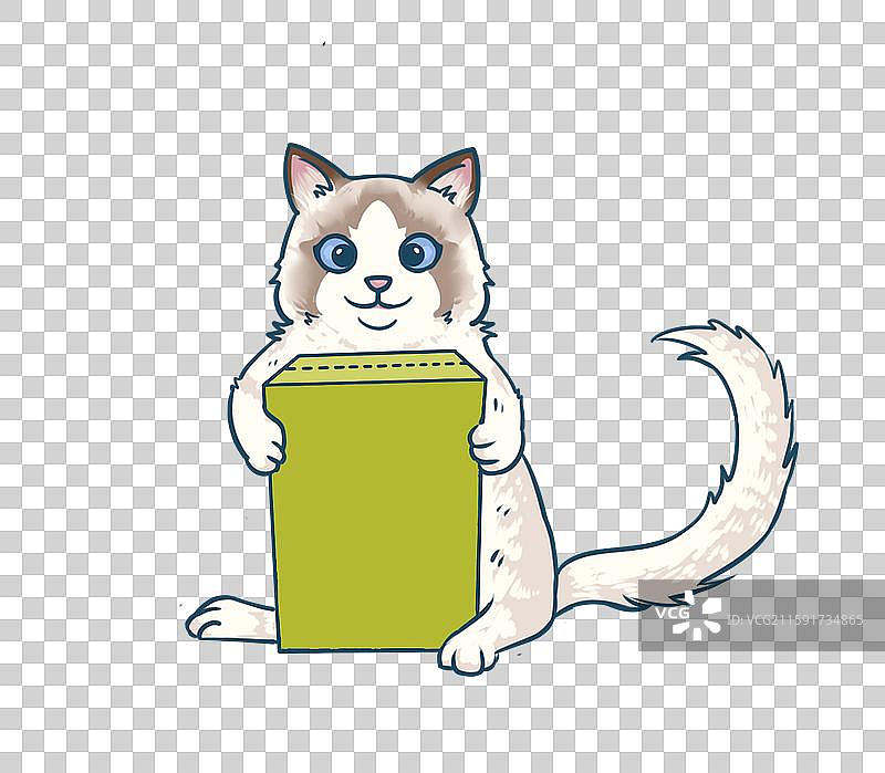 布偶猫抱着礼盒图片素材