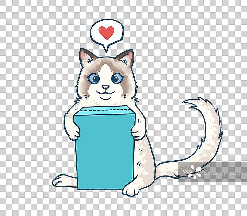 布偶猫抱着礼盒图片素材