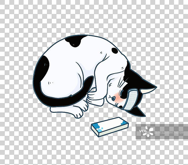 生病发烧的奶牛猫图片素材