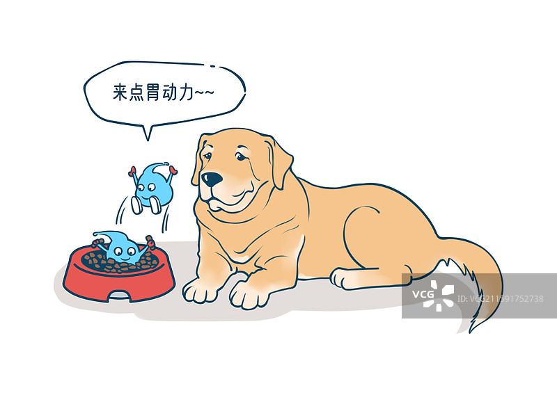 益生菌守护老年犬肠道健康图片素材