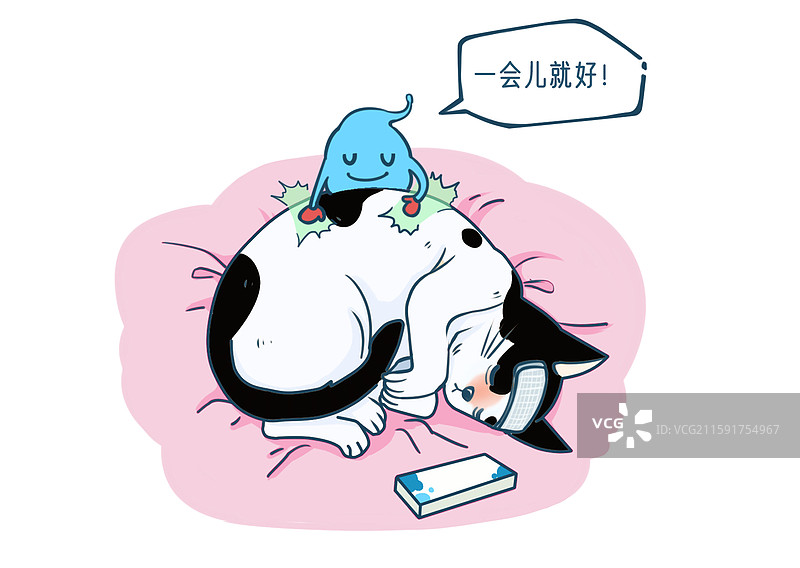 益生菌帮助发烧奶牛猫恢复健康图片素材
