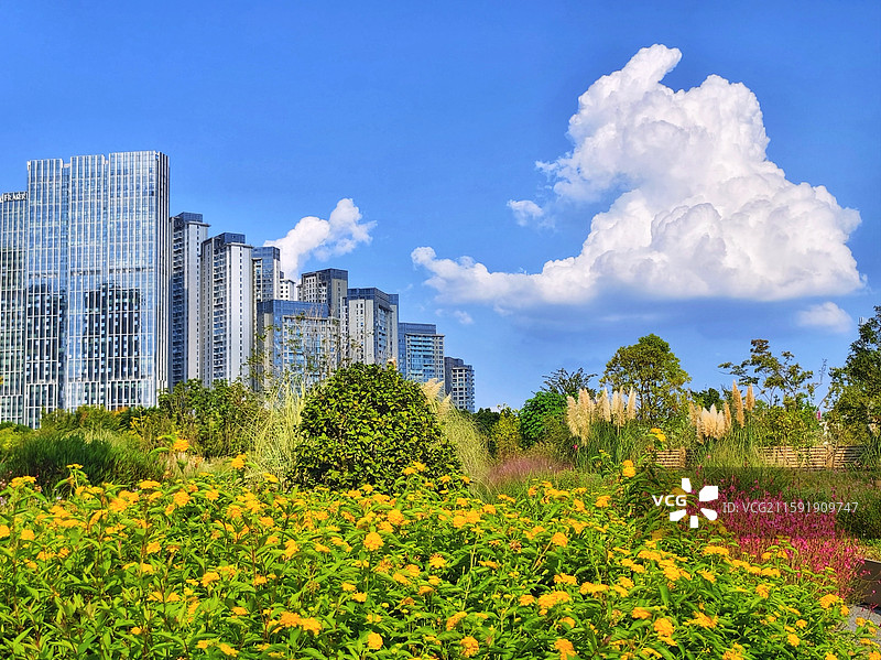 四川成都高新区SKP公园夏天风光图片素材