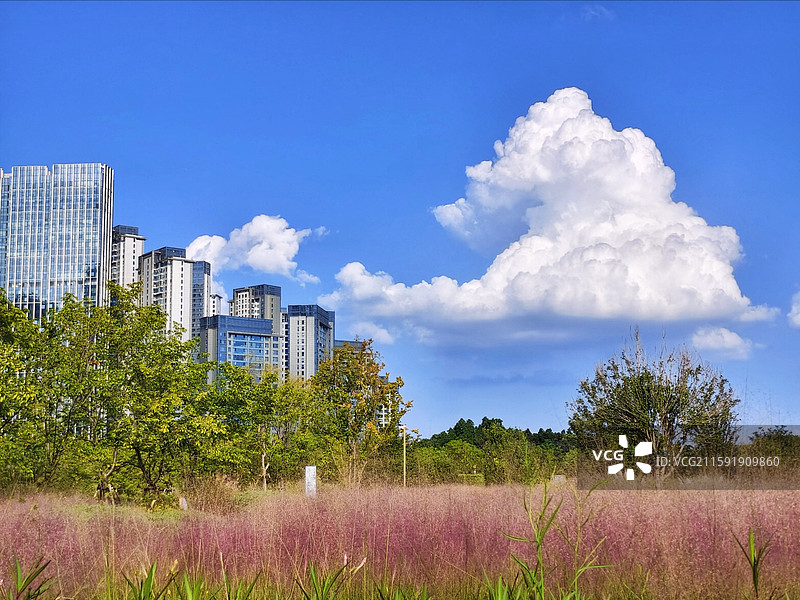 四川成都高新区SKP公园夏天风光图片素材