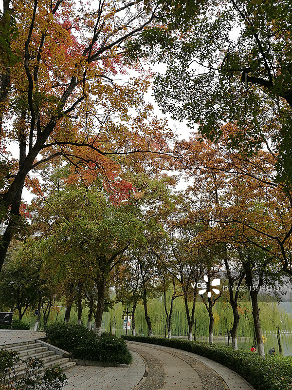 陕西省西安市碑林区兴庆宫公园兴庆湖彩林秋景图片素材