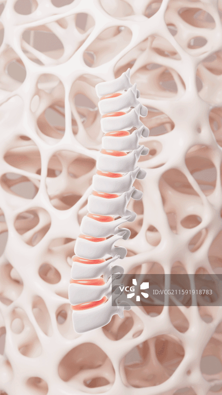 抽象多孔骨架和脊椎动画图片素材