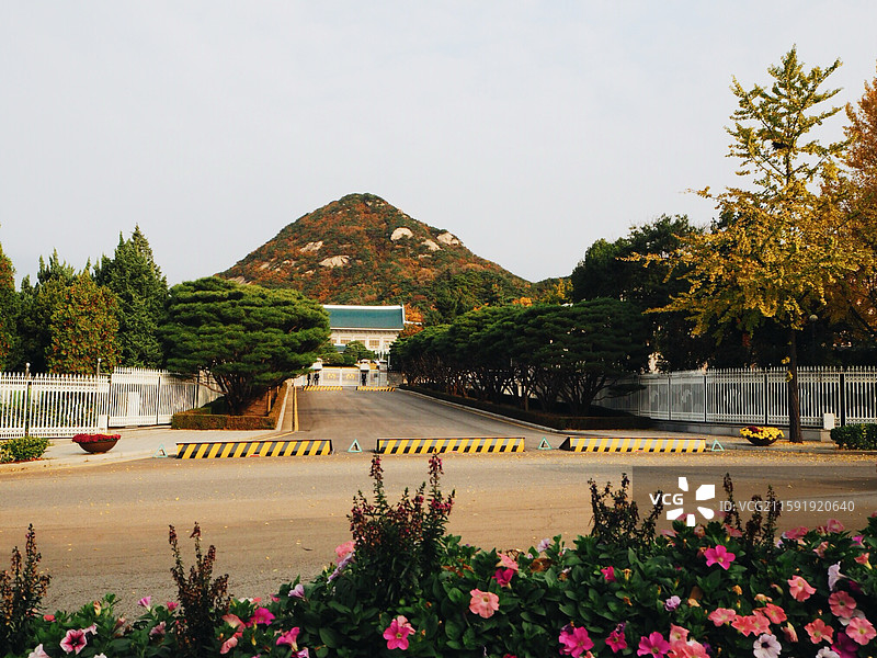韩国首尔青瓦台图片素材