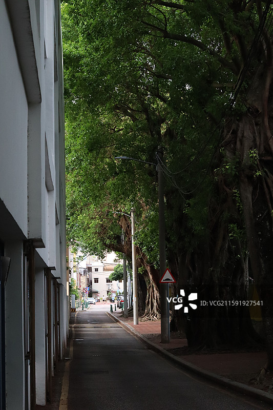 澳门路环岛图片素材