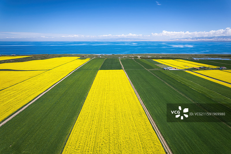 青海省青海湖和青稞麦田油菜花航拍自然风光图片素材