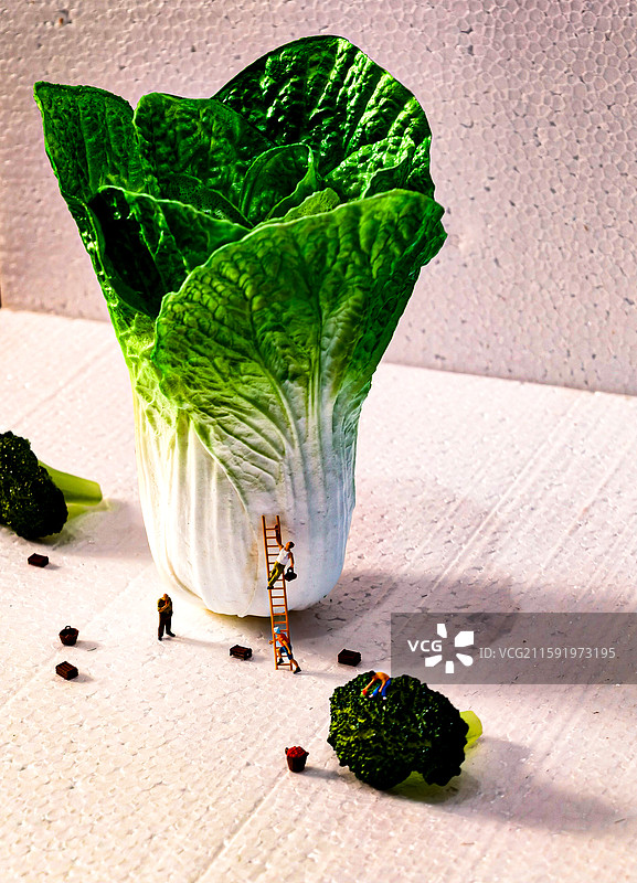 《蔬菜星球的建设者》图片素材