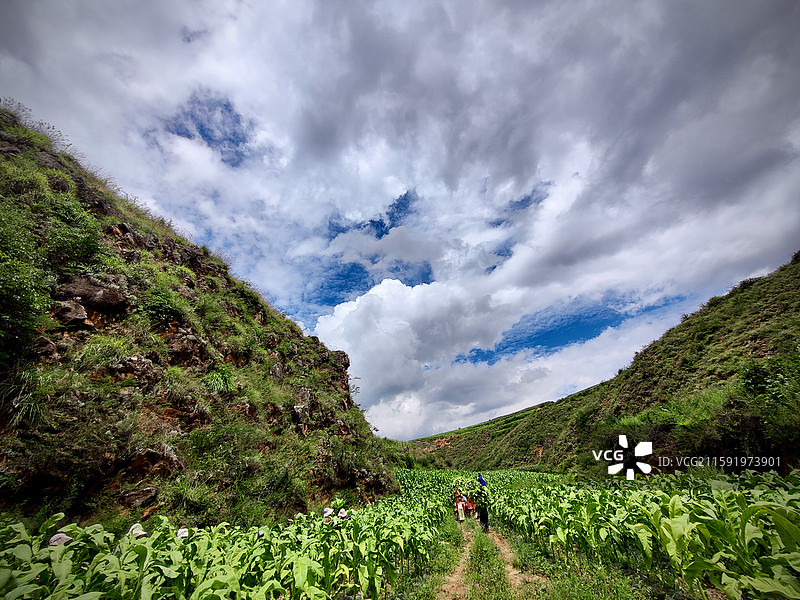 贵州威宁县迤那镇山谷里的田园风光图片素材