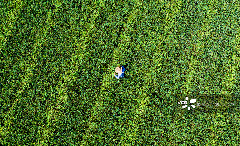 海南三亚南繁水稻科技研究育种稻田崖州湾高视角航拍唯美治愈风景图片素材