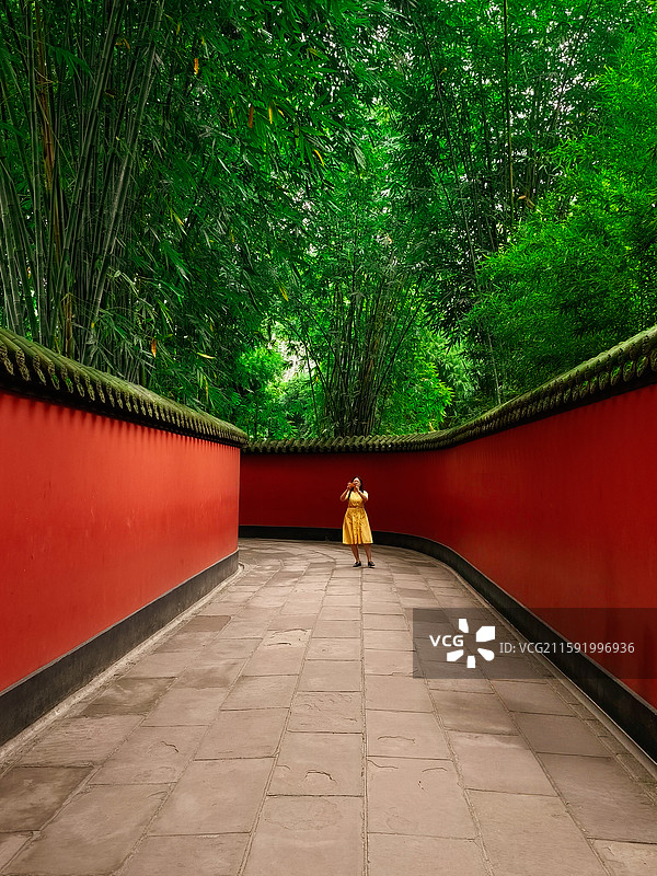 红墙绿韵图片素材