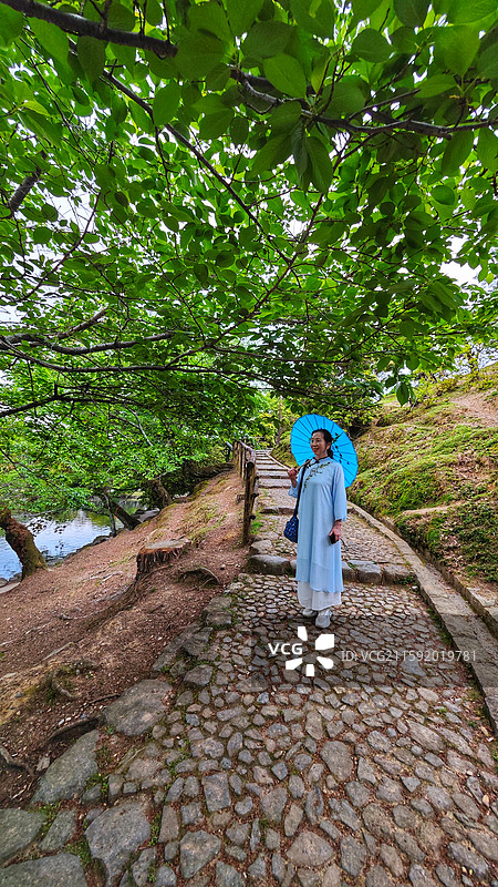 奈良公园面积广阔，东大寺、春日大社等古迹林立，野鹿成群，自然与文化景观相得益彰。图片素材