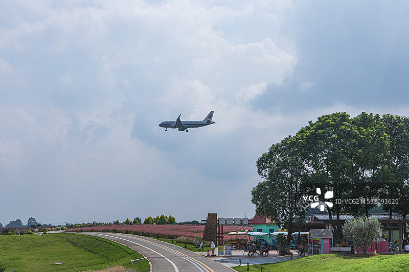 中国国际航空公司B-326A （空客 A320）飞过成都 空港花田 粉黛乱子草 花田、草坪与道路图片素材