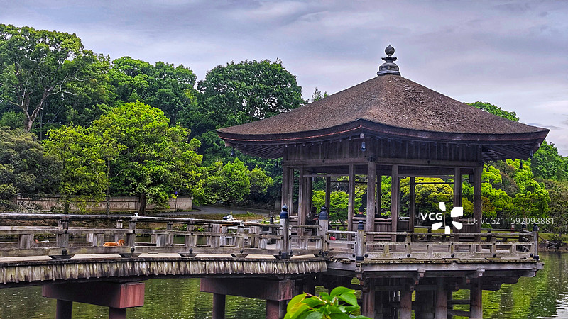 奈良公园面积广阔，东大寺、春日大社等古迹林立，野鹿成群，自然与文化景观相得益彰。图片素材