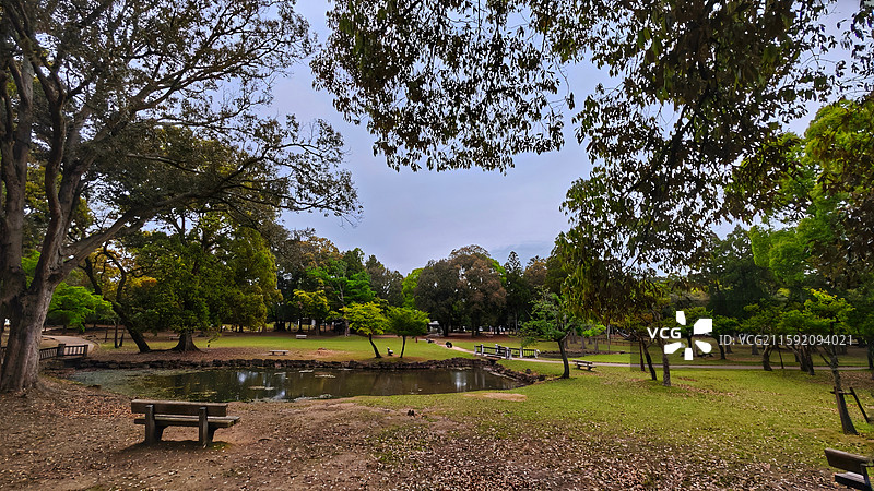 奈良公园面积广阔，东大寺、春日大社等古迹林立，野鹿成群，自然与文化景观相得益彰。图片素材