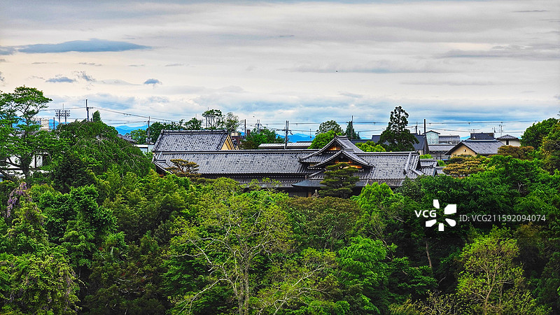 奈良公园面积广阔，东大寺、春日大社等古迹林立，野鹿成群，自然与文化景观相得益彰。图片素材