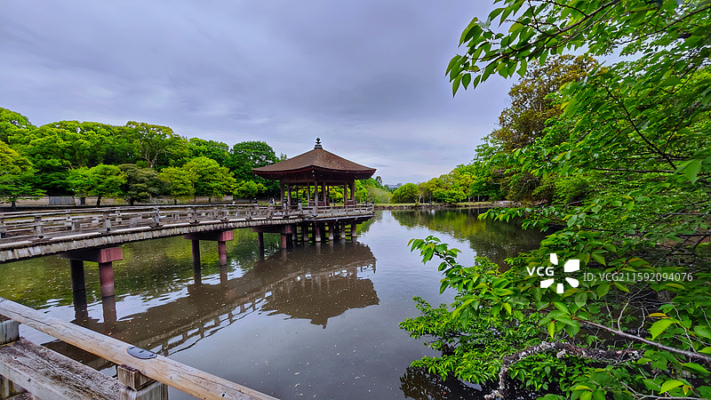 奈良公园面积广阔，东大寺、春日大社等古迹林立，野鹿成群，自然与文化景观相得益彰。图片素材