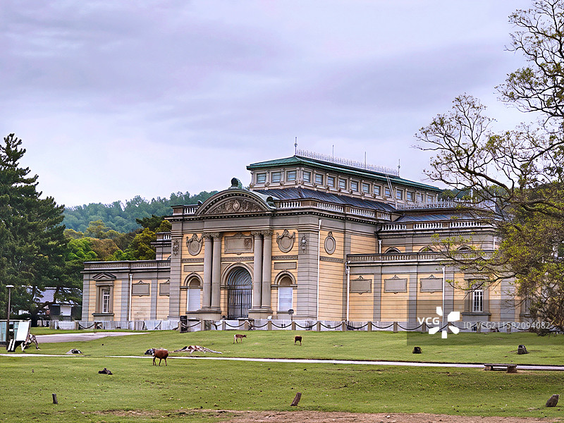 奈良公园面积广阔，东大寺、春日大社等古迹林立，野鹿成群，自然与文化景观相得益彰。图片素材