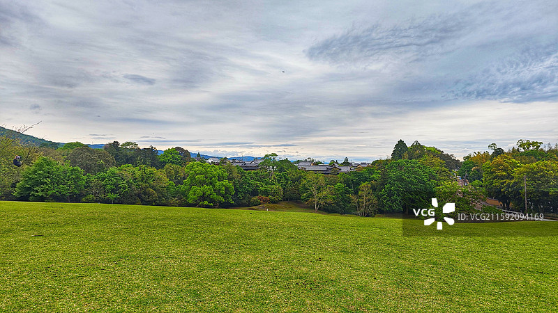 奈良公园面积广阔，东大寺、春日大社等古迹林立，野鹿成群，自然与文化景观相得益彰。图片素材