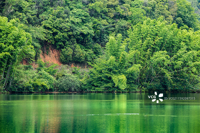 中国云南省玉溪市易门县龙泉森林公园湖泊竹林景观图片素材