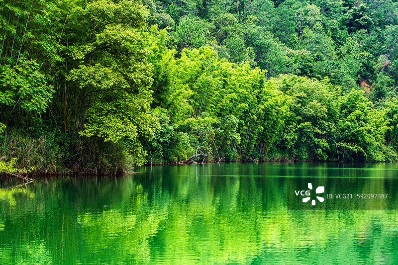 中国云南省玉溪市易门县龙泉森林公园湖泊竹林景观图片素材