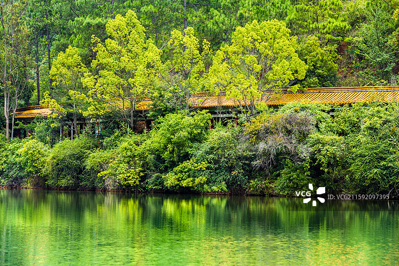 中国云南省玉溪市易门县龙泉森林公园湖泊竹林景观图片素材
