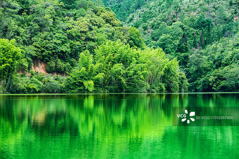 中国云南省玉溪市易门县龙泉森林公园湖泊竹林景观图片素材